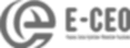 E-CEO