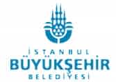 Ibb 8