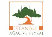 Istanbul Agac Ve Peyza 7