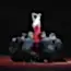 Görsel 3